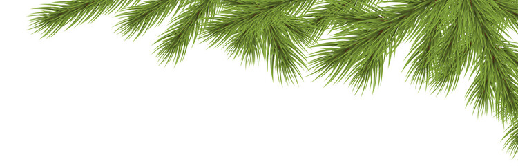 fir branch upper right corner