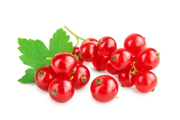 Red currant berries with leaf isolated on white background