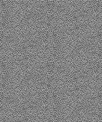 Fototapeta premium A black and white image lines, dots, shapes, forms. Retro halftone stippled background. Ideas for your graphic design, banner, poster, packaging, for site or more
