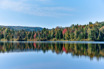 Autumn forest landscape and reflection in the lake. La Mauricie National Park, Canada. - obrazy, fototapety, plakaty