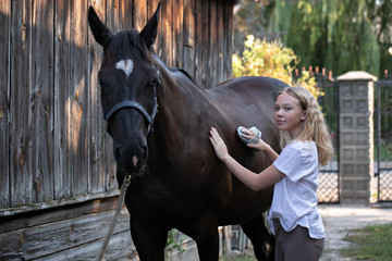 girl brushing a beautiful horse, Grooming horse