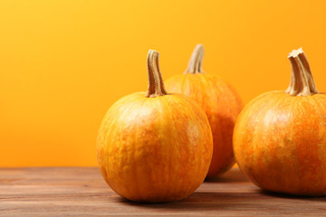 pumpkins on a colored background. Thanksgiving background. Autumn background.