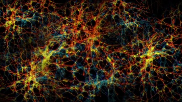 Blood vessels, circulatory system of arteries and veins