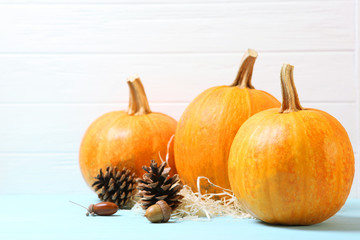 pumpkins on a colored background. Thanksgiving background. Autumn background.