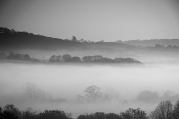 Shapes in the Mist