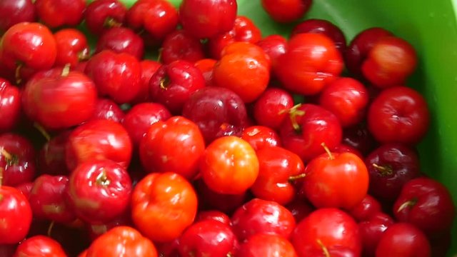 Washing red cherry. Tropical fruit acerola berry, organic, healthy food
