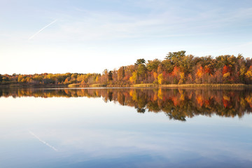 Treeline on calm northern Minnesota lake  at sundown during autumn © Daniel Thornberg