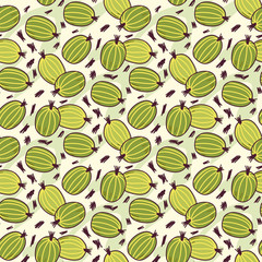 Fruits hand drawn vector illustrations set