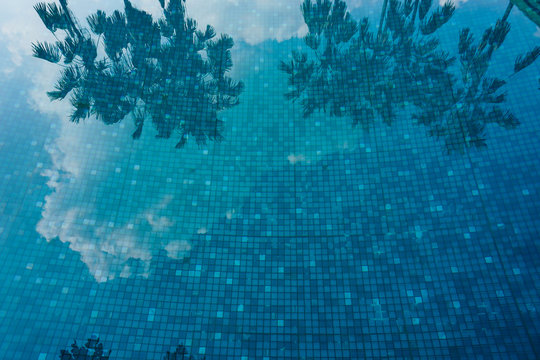 The reflection in the water of a swimming pool
