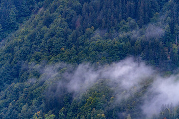 Nebel Regen Berge Montafon