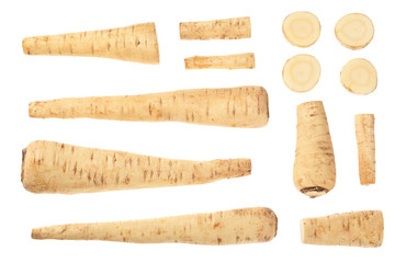 Parsnip root and slices isolated on white background closeup. Top view. Flat lay. Set or collection - obrazy, fototapety, plakaty