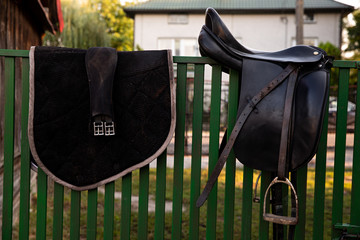 girl with saddle horse