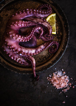 octopus and pink salt