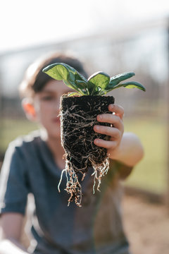 Gardening