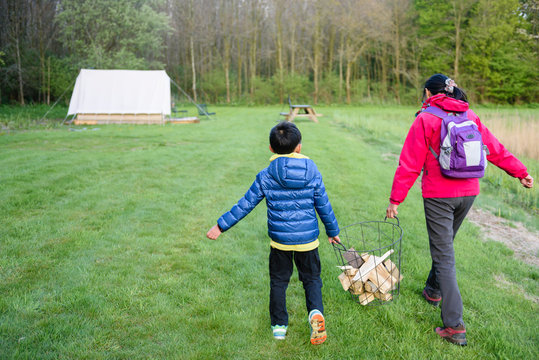 Mother and son collect firewood walking in campsite