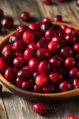 Raw Red Organic Cranberries