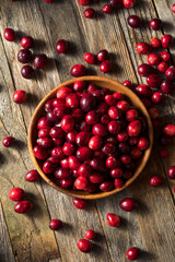 Raw Red Organic Cranberries