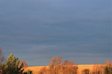 Fototapeta na wymiar Beautiful autumn landscape: a golden cleaned field and a high gray-blue sky.
