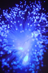 Colored whims of a panicle of a lamp from a bundle of optical fiber threads. An imitation of a...