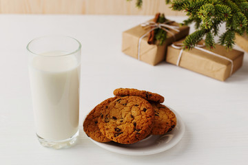 Milk and cookies for Santa Claus under the christmas tree. Concept, copy Space.