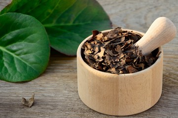 Fresh leaves and dried bergenia leaves in mortar on wooden background close up