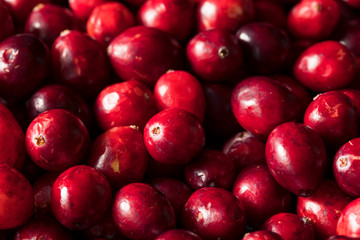 Raw Red Organic Cranberries
