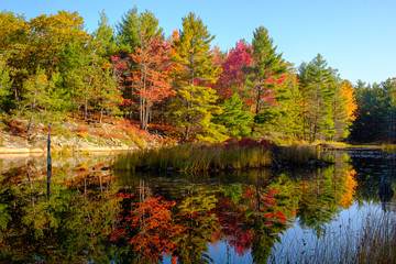 Tranquil beauty of Canadian Fall - Kawartha Lakes, Ontario