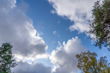 Scenery with white clouds, blue sky and autumn trees frame