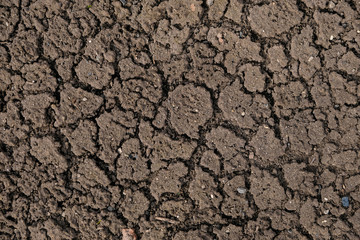 Dry cracked earth. Cracked earth texture for design. Textured background