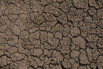 Dry cracked earth. Cracked earth texture for design. Textured background