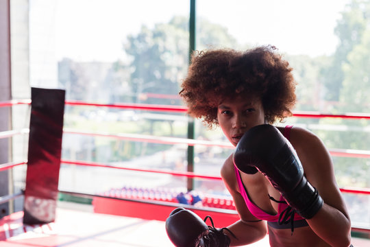 1,452 African American Woman Boxer Images, Stock Photos, 3D objects, &  Vectors