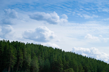 Green forest with blue sky and clouds