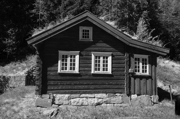 Norwegian Folk Architecture. In retro stile