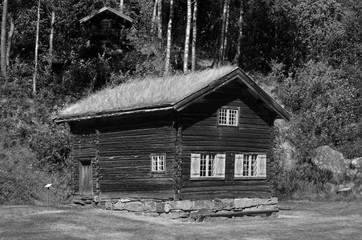 Norwegian Folk Architecture. In retro stile