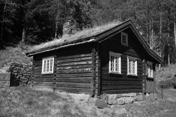 Norwegian Folk Architecture. In retro stile