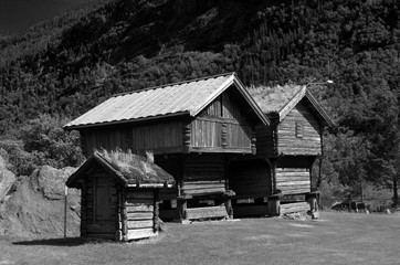 Norwegian Folk Architecture. In retro stile