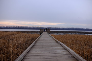 Obraz premium Bird watching on the pier