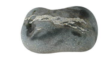 Dark-colored sea stone with white spots on a white isolated background.