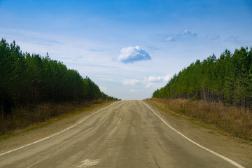 Fototapeta na wymiar A long straight empty asphalt road through green forest on sunny day, perspective. Travel concept