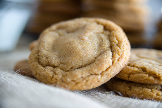 ginger snap cookies
