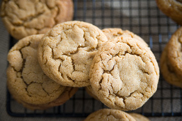 ginger snap cookies