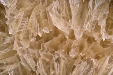Closeup microphotograph of crystalline structure in a septarian nodule