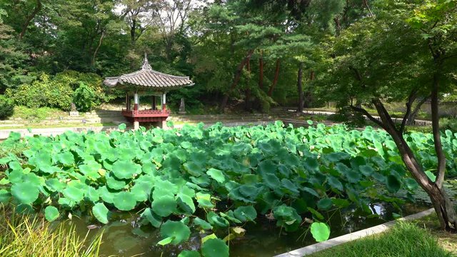 Huwon secret garden view at Changdeokgung Palace with view of Aeryeonji lotus pond and Aeryeonjeong pavilion in Seoul South Korea