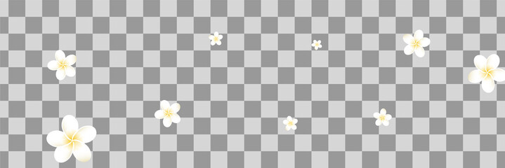 Frangipani isolated. Plumeria flower vector background. Tropical texture.