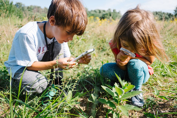 children observe caterpillars