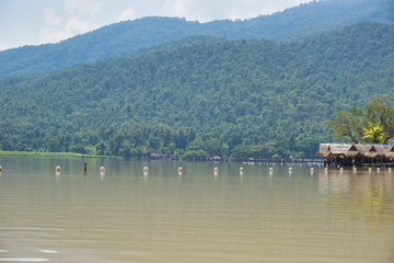 Four beautiful cabins mountains green and big with beautiful lake and wide vegetation.