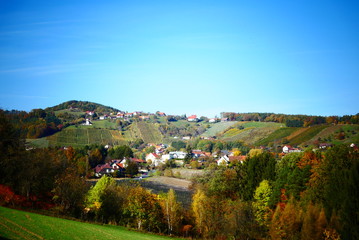 Weinbau Steiermark