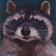 Portrait of a raccoon. Oil on canvas.