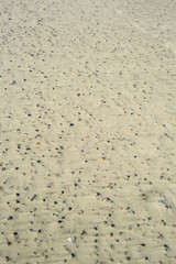 Sand