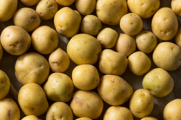 Organic White Baby Potatoes